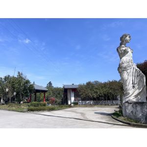 Zigong Longshang Culture and Art Co., Ltd.