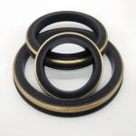 Oil And Gas Industry 1"-7" Oil Resistant Hammer Union Seals With Brass Back Up