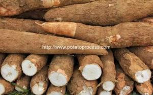 Wholesale Automatic Cassava Flour Production Line for Sale from china suppliers