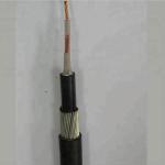 0.6/1kv copper conductor 2x16mm2 xlpe /pvc insulated steel armored cable