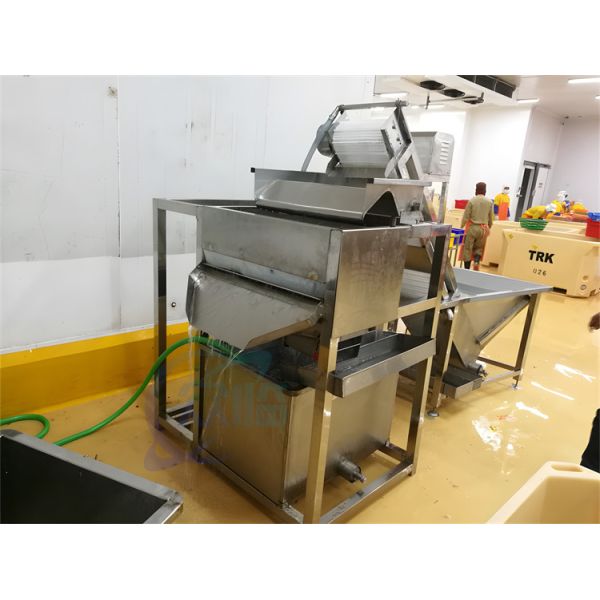 Automatic Shrimp Cleaning Machine 1.5KW Stable Large Capacity