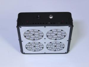 Wholesale CIDLY bloom spectrum led grow lights 4 for aeroponic growing systems from china suppliers