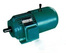 Blue Asynchronous Electric High Torque Motor 5.5kw Spindle Neo Motor Trifasico