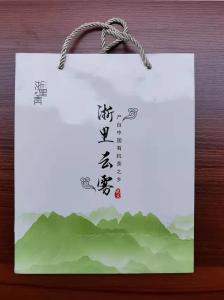Wholesale Matt Laminated 250gsm Kraft Paper Merchandise Bags With Nylon Rope Handle from china suppliers