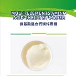 Zinc Calcium Magnesium Amino Acid Chelated Plant Organic Fertilizer For
