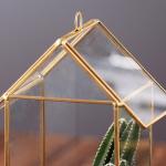 House Shaped Geometric Succulent Terrarium , Jewelry Holder Air Plant Container