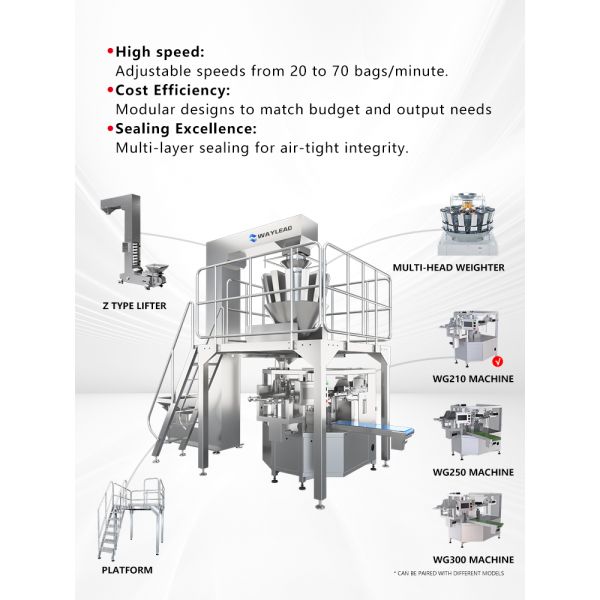 Pouch Packing Machine Multi-Function Packaging for Granules Liquids Powders
