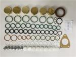 2417010021 Diesel Fuel Pump Repair Kits 800718 Diesel Engine Parts