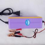 Electric Battery Charger DC 13.8V 15A lead acid Battery Charger With Automatic