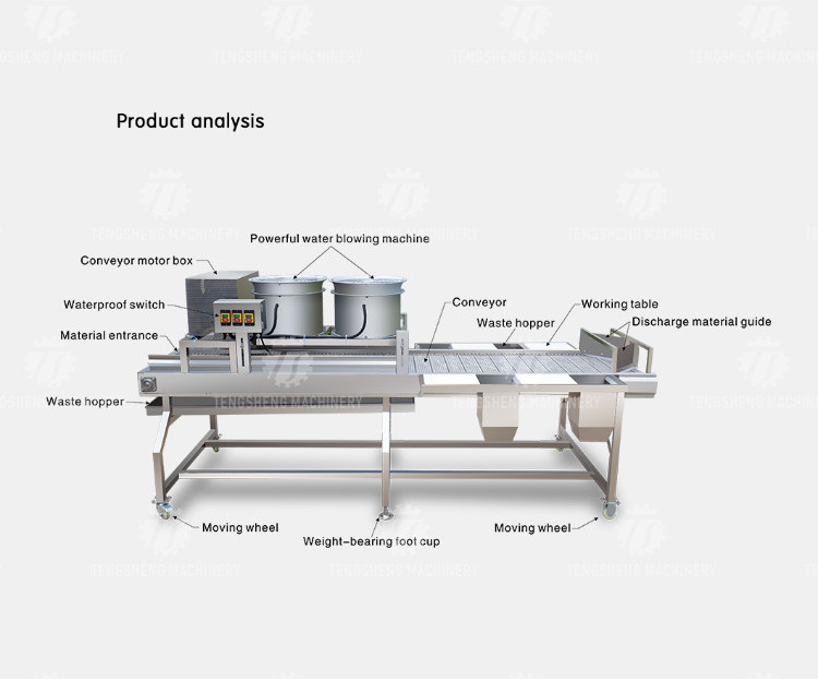 2KW Vegetable Processing Machine Stainless Steel Fruit Drying Selection Machine