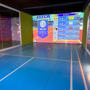 Wholesale Northern Lights Professional Indoor AR Sports Badminton Indoor Ball Games from china suppliers