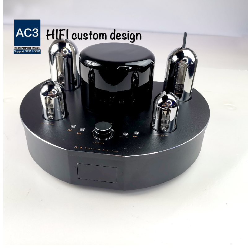 Home Mini Tube Amplifier
