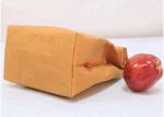 Reusable Insulated Lunch Cooler Bag Washable Kraft Paper Snack And Sandwich Bags