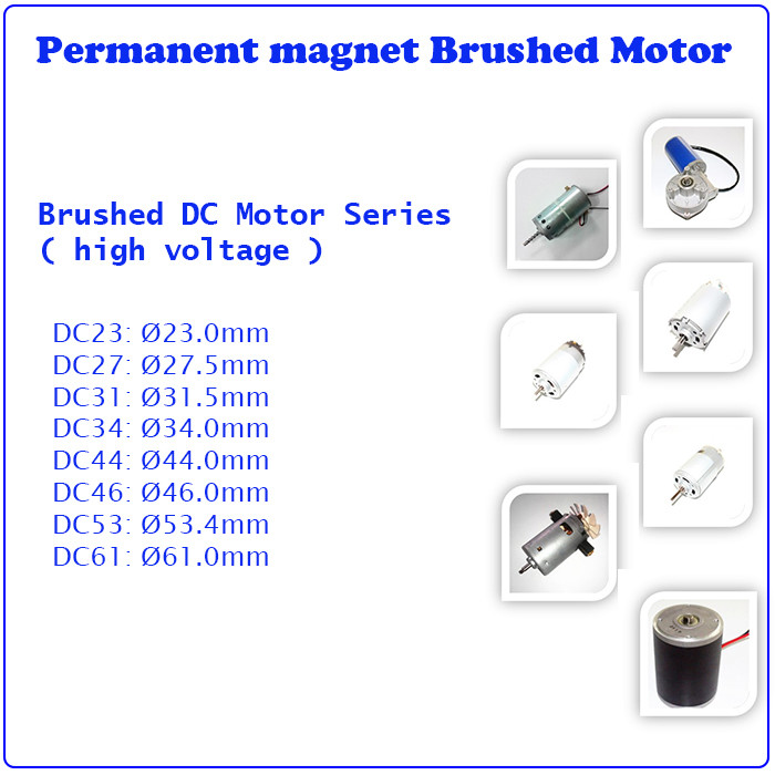 230V 800W High Torque Brushed Permanent Magnet DC Motor For Coffee Maker