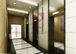 630kg Automatic Passenger Elevator Lift Customized Stainless Steel 304 Material