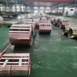 Golden High Hardness Red Copper Coil C1100 C1200 C1020 C5191 Copper Strip
