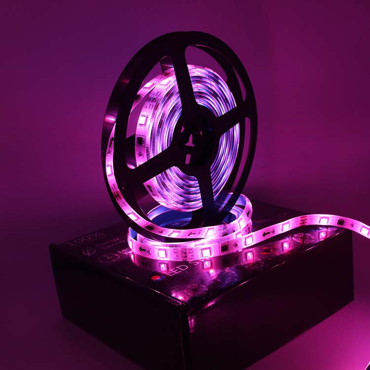 Music Sync Ws2811 Dreamcolor Led Lights 12v Digital Led Strip RGB Pixel