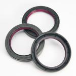 FKM Oil Seals for Oil Chamber Sealing and Dust Protection