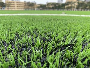Wholesale AVG 60mm Turf Grass Carpet For Factory Soccer Football Field Outdoor from china suppliers