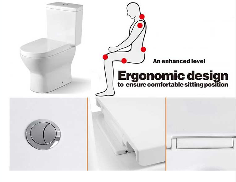 Inodoro wc / siphonic wc Water-absorptivity < 0.2% , Siphonic Action Toilet