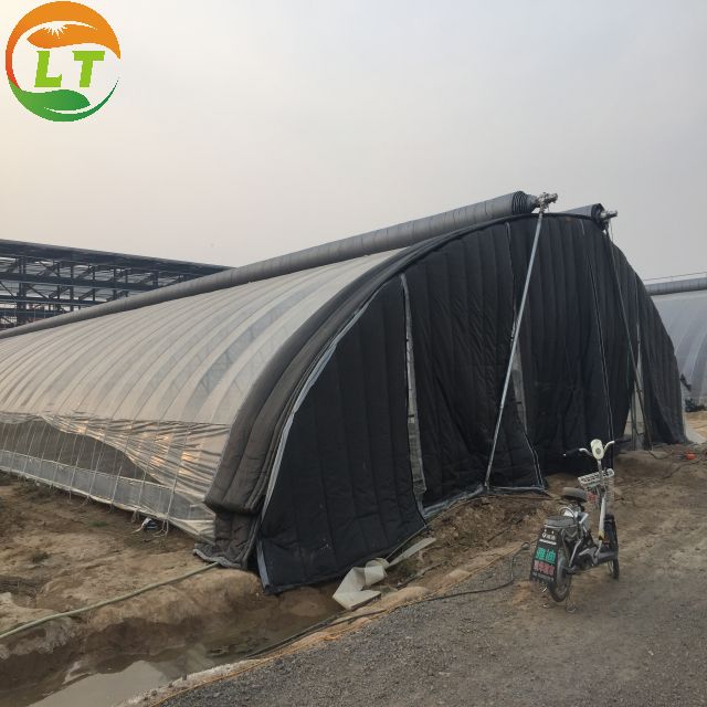 Stable Structure Good Shading Effect Heat Preservation System by LiTai Greenhouse