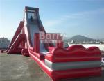 Fun Giant Red Hippo Water Slide / Inflatable For Adult