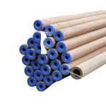 ASTM A53 Carbon Seamless Steel Tube Round Steel Pipe
