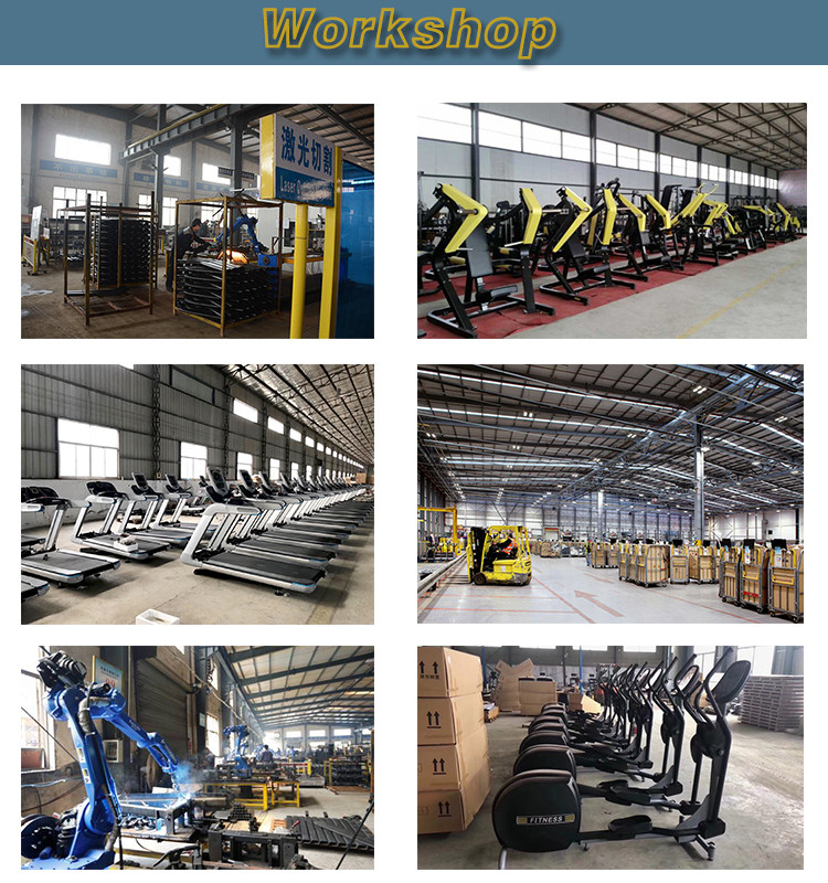 OEM Back Extension Gym Physical Workout Equipments