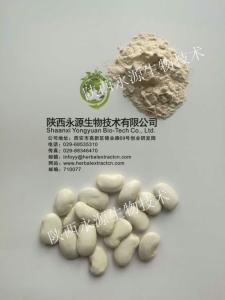 Wholesale White Kidney Bean Extract 3000 units/g, 10:1，phaseolin1-3%, Chinese manufacturer supply natural Delaying aging ingre from china suppliers