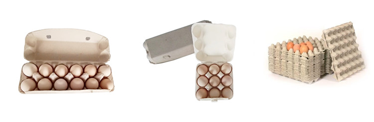 Rotating Egg Tray Making Machine High Precision Using Waste Paper