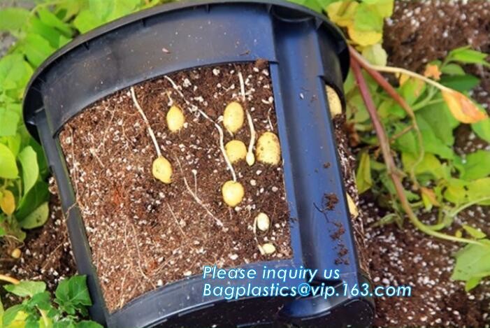 Green Gardening Biodegradable Recycling Bags Seeding Nursery Pots