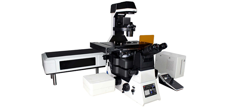 OPTO EDU A16.1099 Full Auto Semi-APO Inverted Fluorescent Microscope