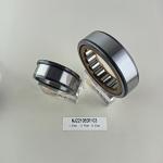 NU/NJ/NF2210ECP Cylindrical Roller Bearing 50*90*23mm for Heavy Duty Application