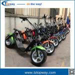 two wheels Citycoco 1000W 60V adult electric scooter battery box removable