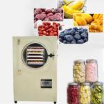 Multifunction Industrial Food Freeze Dryer Mini Vacuum Food Lyophilizer