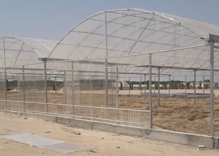 10 X 6 10 X 20 10 X 12 10' X 10 Clear Polycarbonate Greenhouse Wave Sheet Yellow Film Growing Lettuce Leaf Vegetable