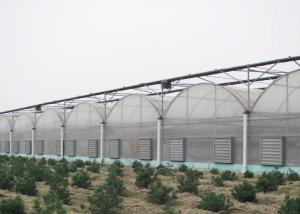 Wholesale Anti Wind Climate Control Lettuces Multi Tunnel Greenhouse from china suppliers