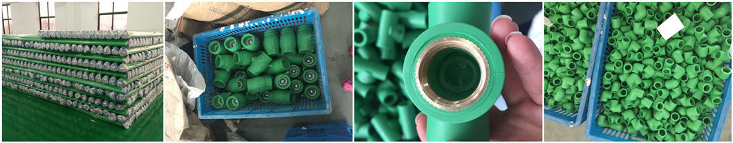 Nb-Qxhy Plumbing Materials Plastic Manufacturers PPR Fittings Pipe