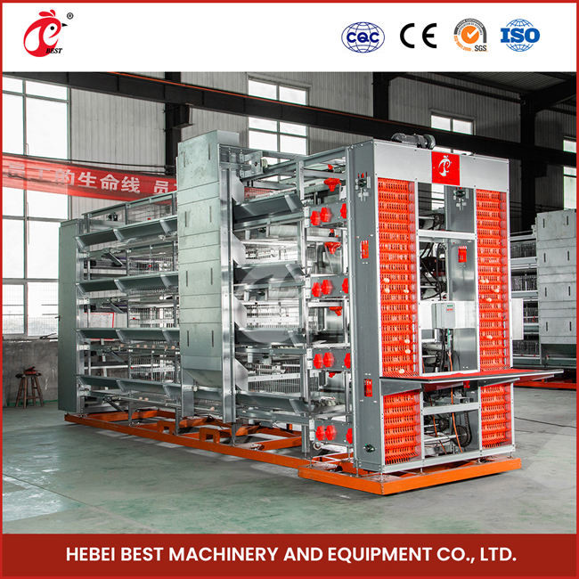 Hot Deep Galvanized Automatic Chicken Coop Equipment For Poultry Breeding Emily