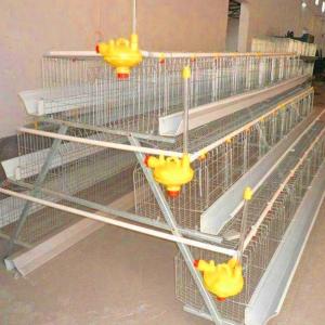 Wholesale 195*35*38cm 90 Birds Layer Chicken Cage Poultry Farm Equipment from china suppliers