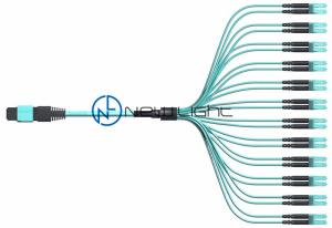 Wholesale 1300nm 24 Fiber MPO MTP Cable Male Or Female insertion loss 0.5dB from china suppliers