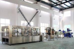 Wholesale Bottle Rinsing SUS304 Automatic Water Filling Machine from china suppliers