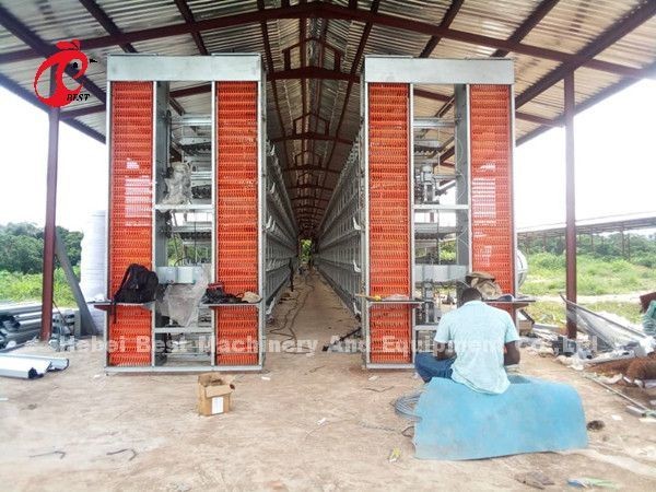 Hot Deep Galvanized Poultry Layer Cage For 20,000 Birds Poultry Chicken Farm Sandy