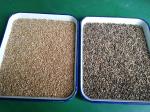 WENYAO Grain Sorter High Performance For Pepper Produce Line