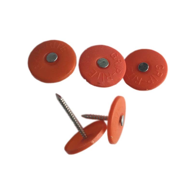 Electro - Galvanized Umbrella Head Roofing Nail , Plastic Top Nails ISO Standard