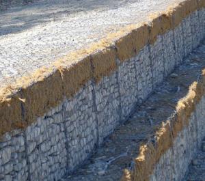 Wholesale CE Hdpe Geonet Gabion Wire Mesh / Low Carbon Stone Cage 2.2mm - 4.0mm Wire from china suppliers
