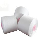 High Tenacity Polyester Spun Yarn For Sewing Jeans 20/2 20/3