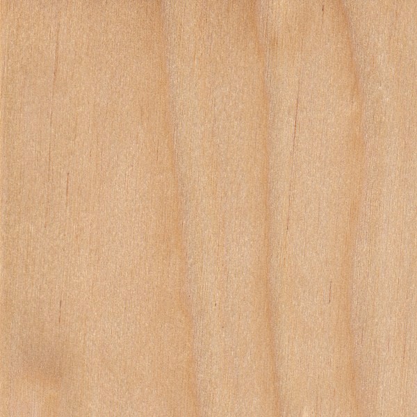 BEECH Wooden Stamp 63mm Colorful Wooden Biscuit Cookie Stamps