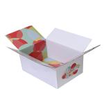 Environmental Friendly Food Packing Boxes Vegetable Carton Packaging Boxes