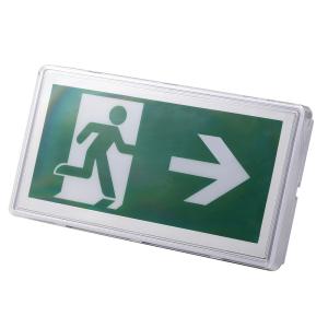 Wholesale 5W LED IP65 Waterproof Emergency Light Wall Surface / Ceiling Recessed 3 Hours Operation from china suppliers
